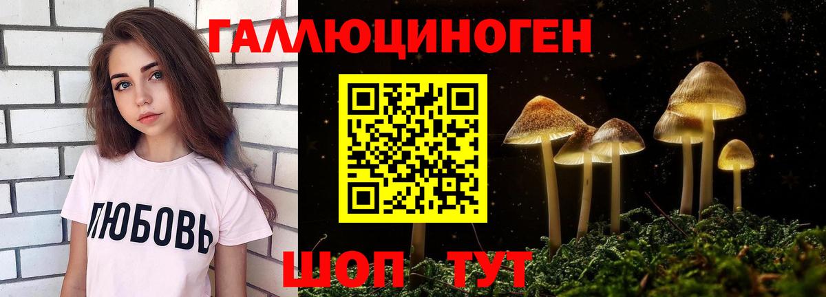 Галлюциногенные грибы Magic Shrooms Тамбов